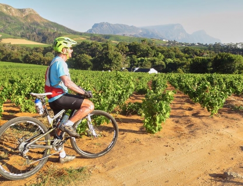 MTB SA Launch | 2016